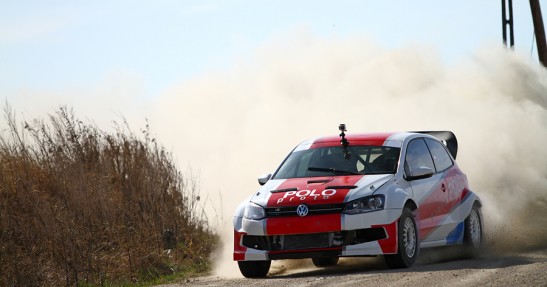Testy Polo Proto